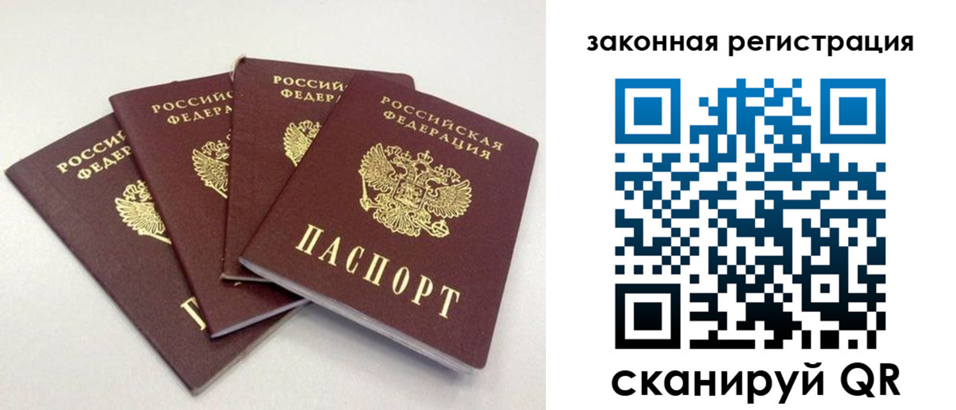 временная прописка в Сольцах