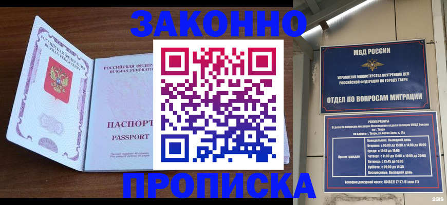 прописка поиск в Сольцах